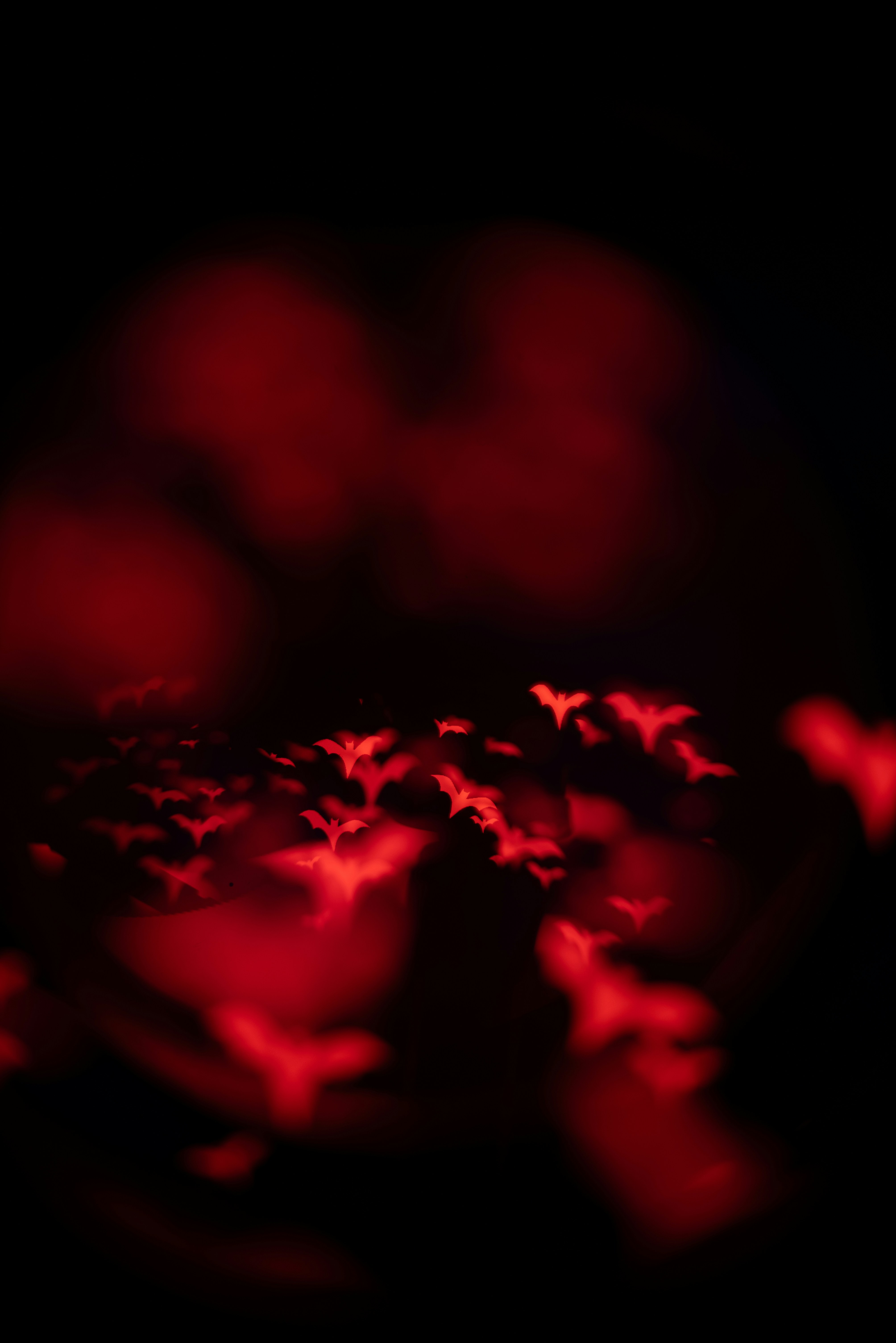 Red bat-shaped bokeh lights on black background