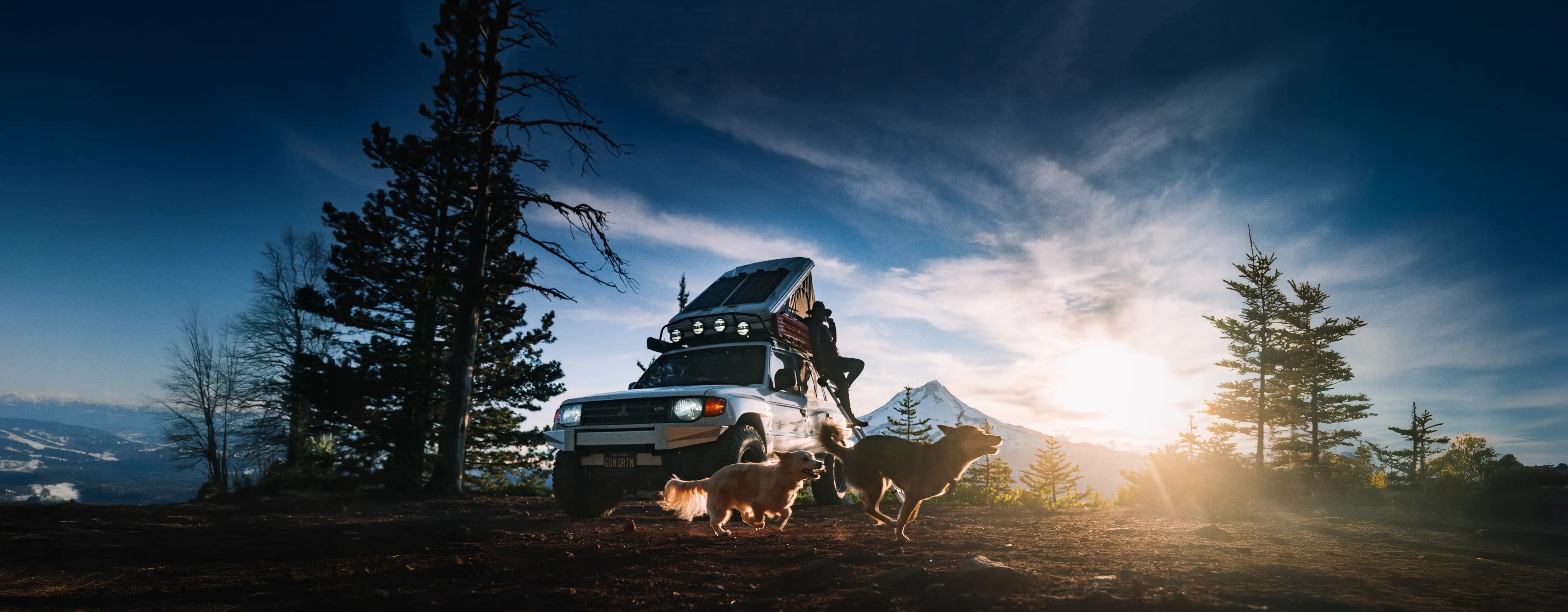 Woman leaning against an SUV in the moutains, watching her two dogs run and play