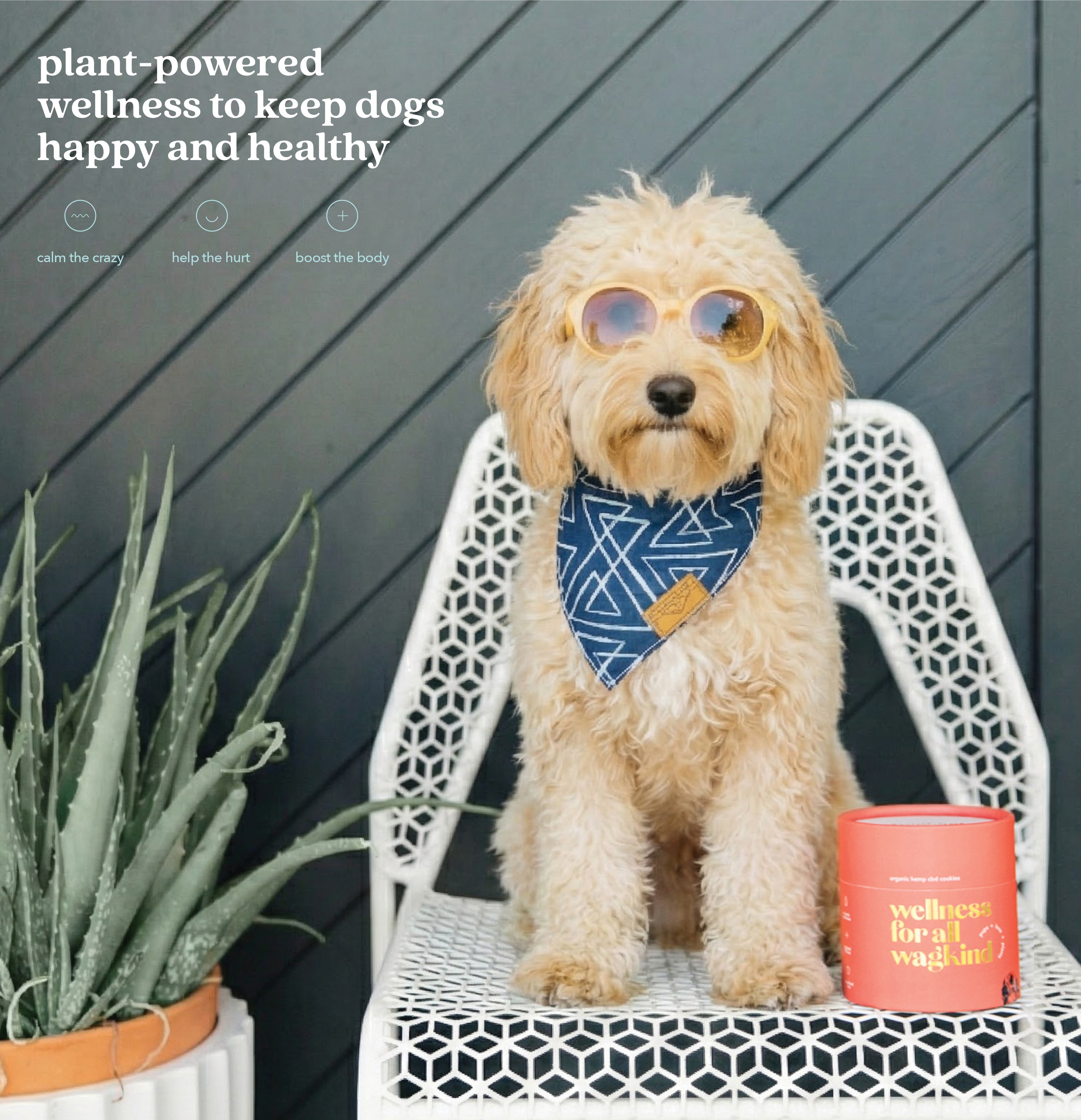 Model moving through a cloud of white powder—graceful beauty editorial on a high-key background.