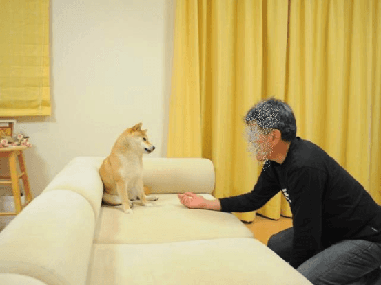 Kabosu spending quality time with her papa