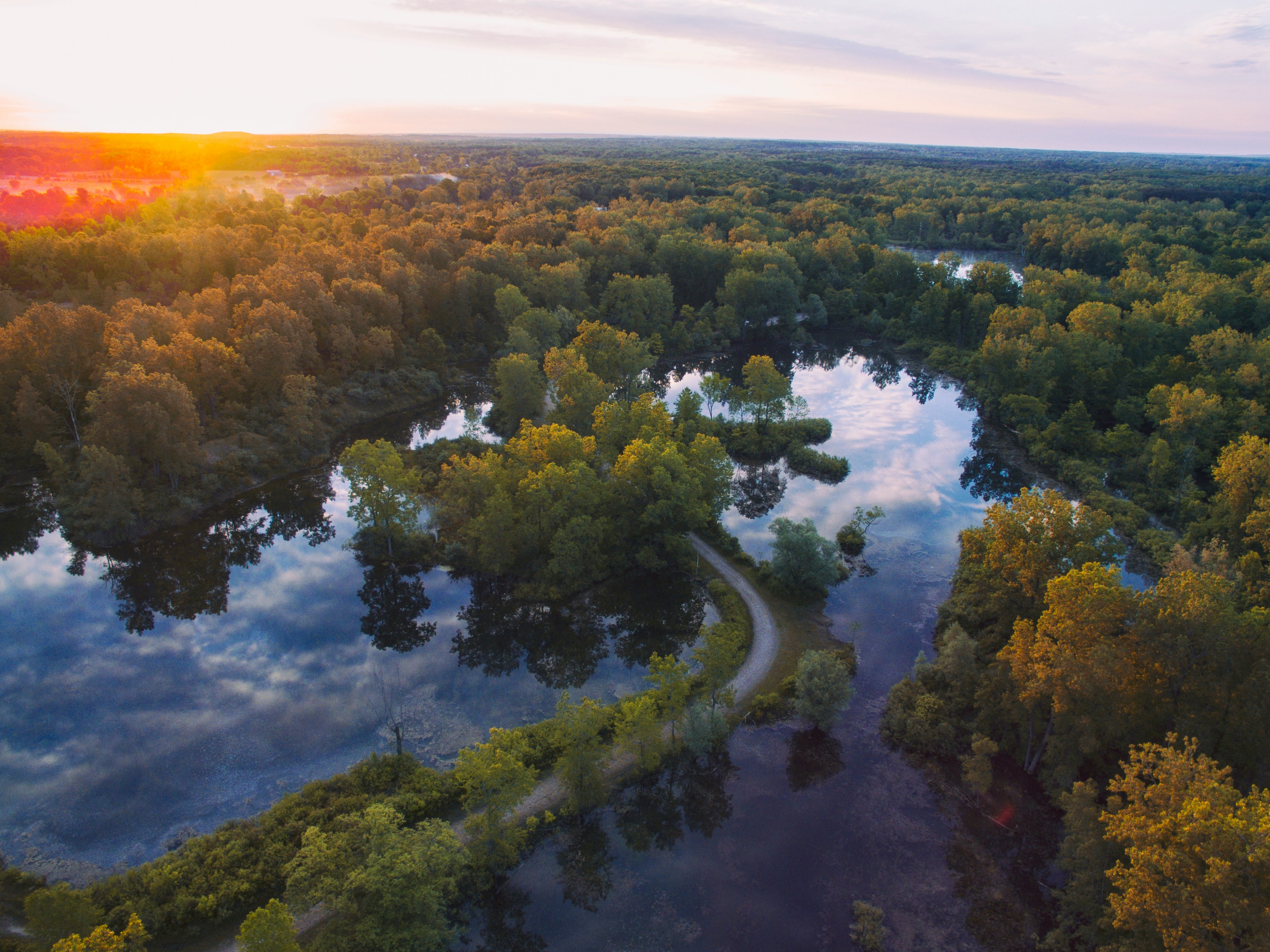 high angle photography of trees beside river