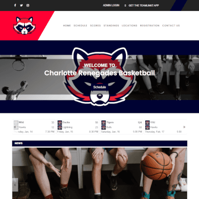 TeamLinkt's Website Template Screenshot