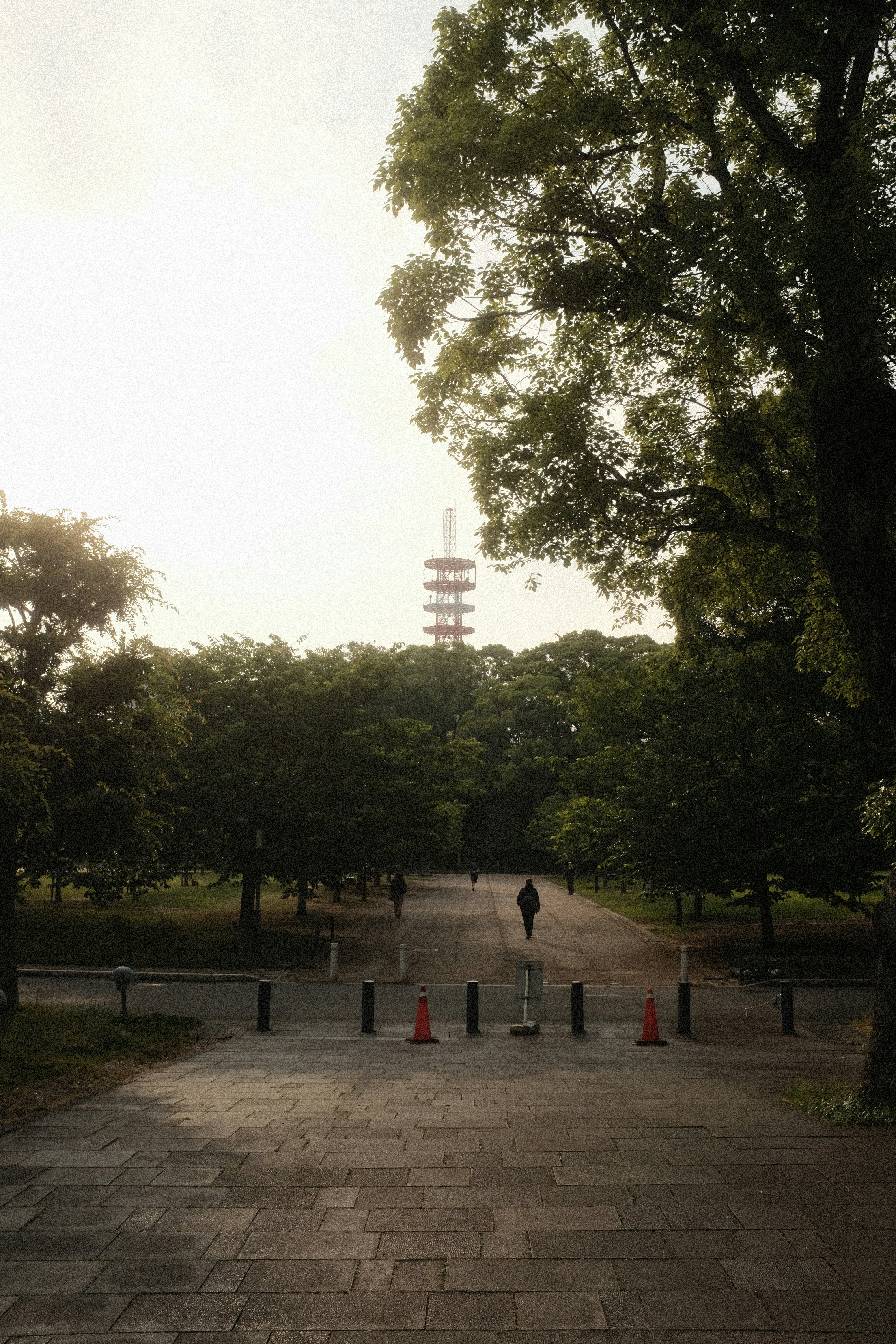 A person walking down a path in a park