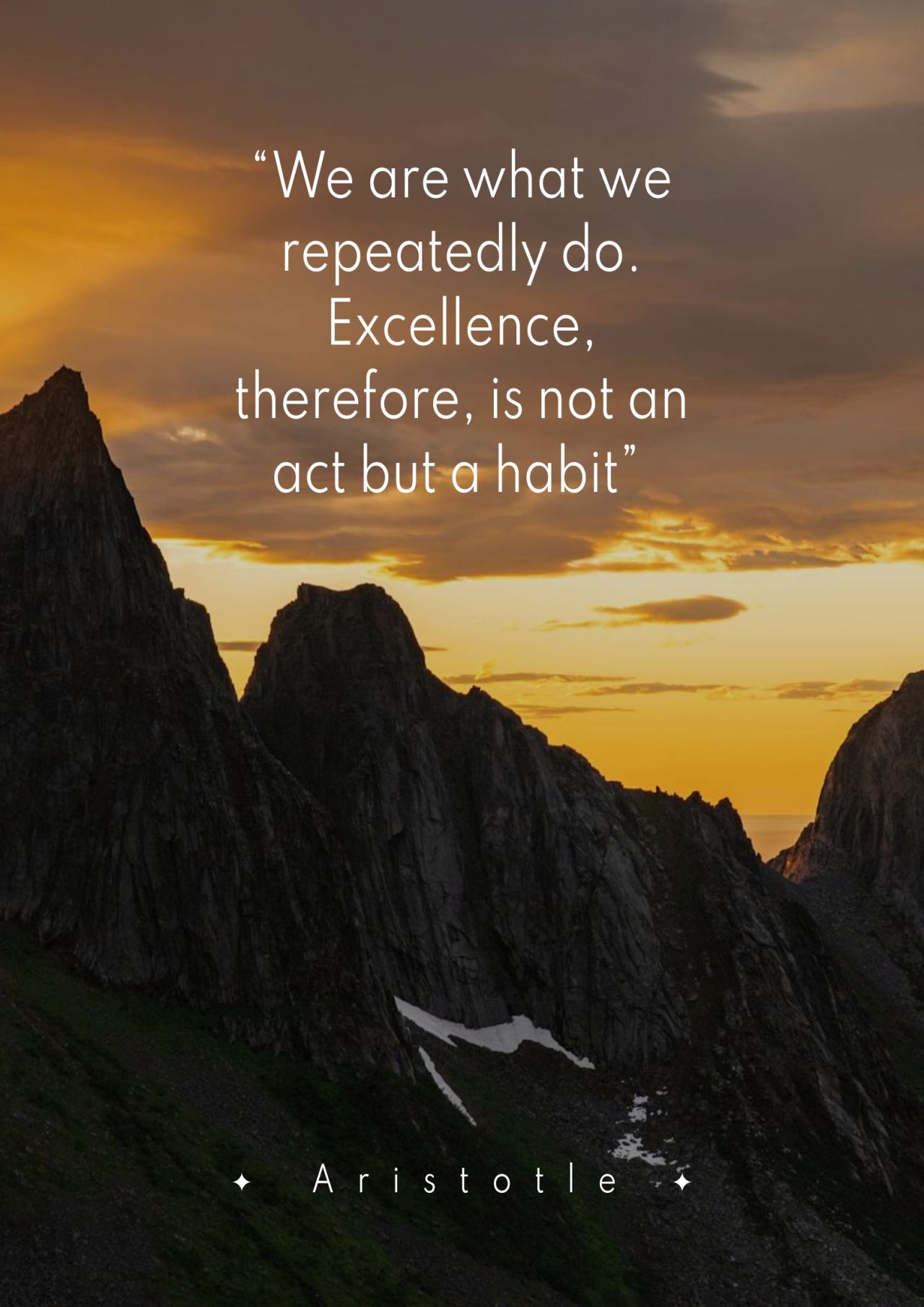 Excellence is a habit