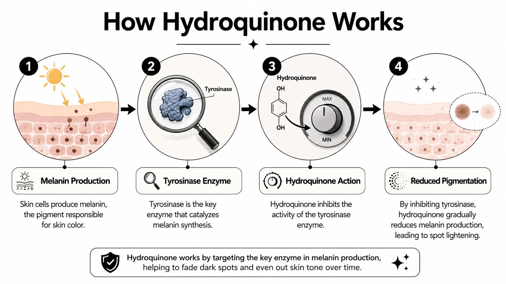 A diagram illustrating the four steps of how hydroquinone works to reduce dark spots and skin pigmentation.