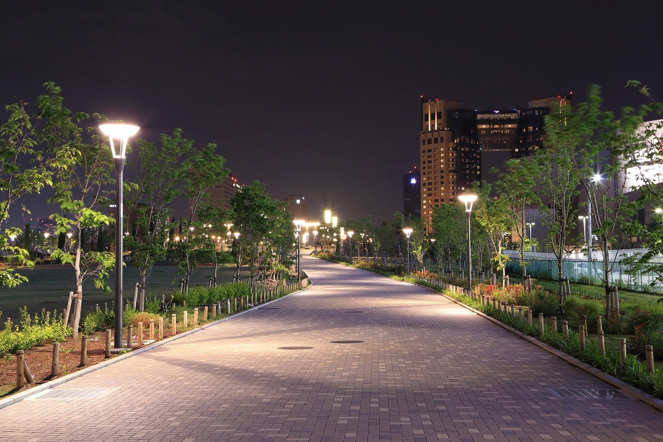 Park path at night