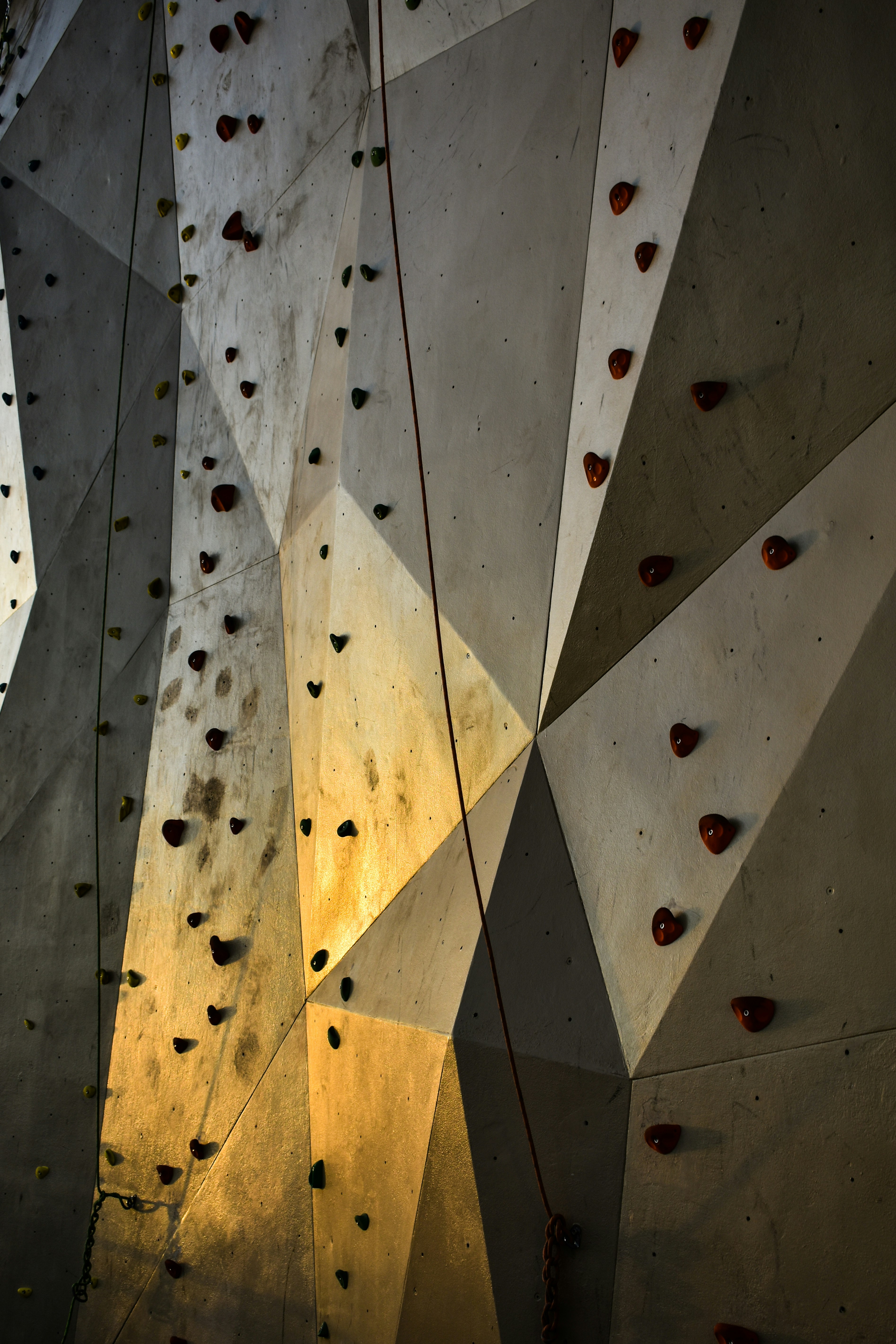 Climbing wall with colorful holds and rope