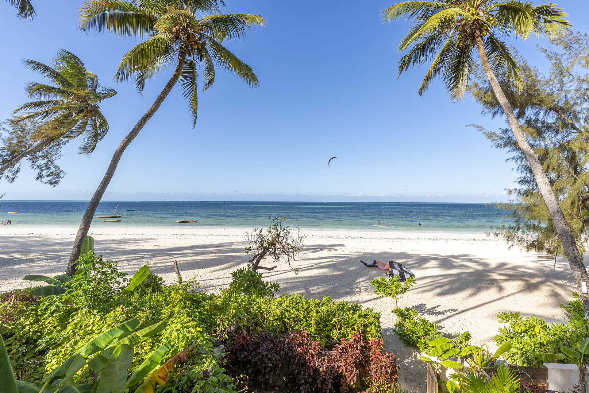 Tropical beach with palm trees, kiteboard, and calm ocean.