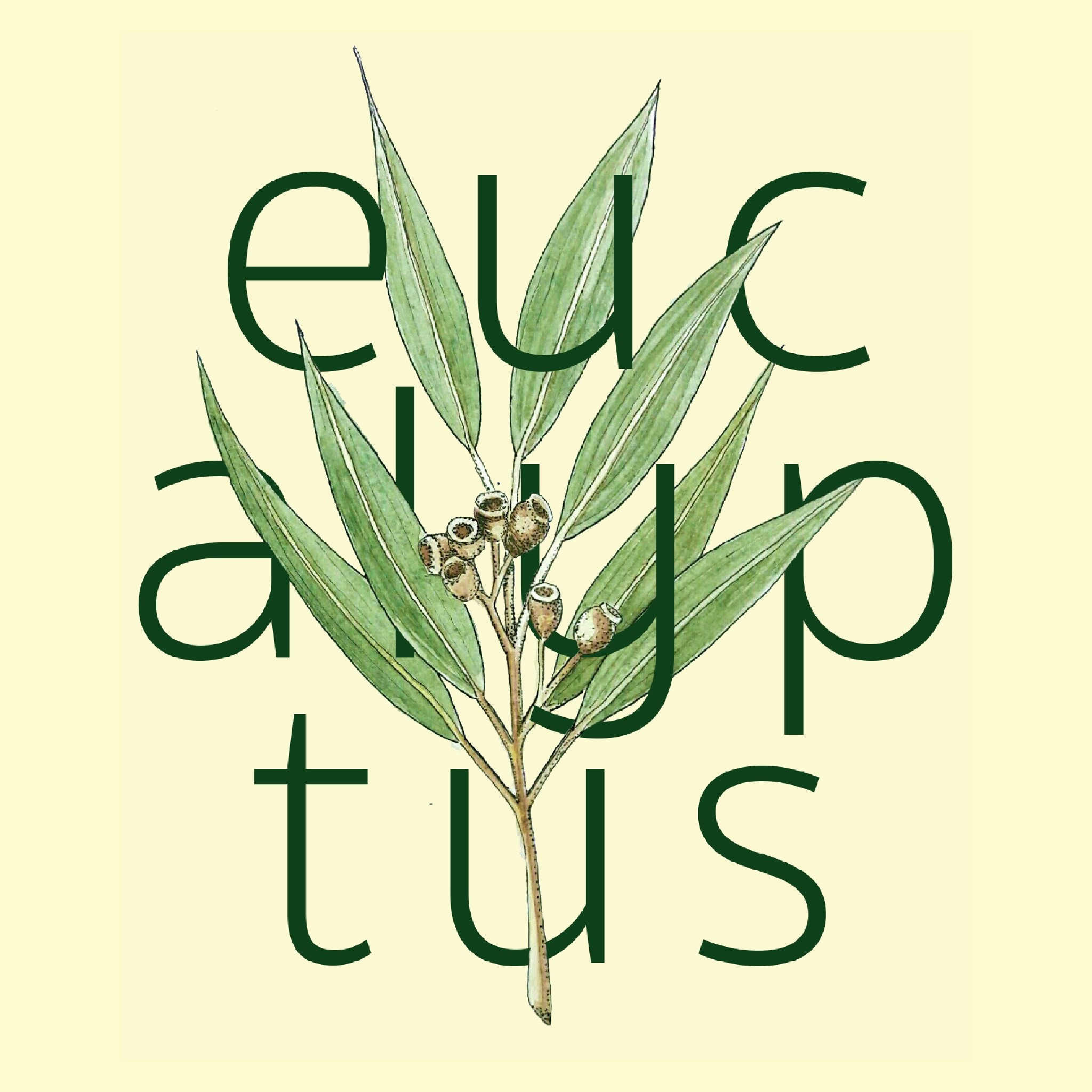 image of mountain from a tent