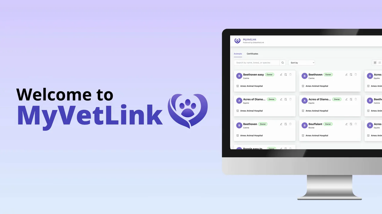 MyVetLink demo video thumbnail