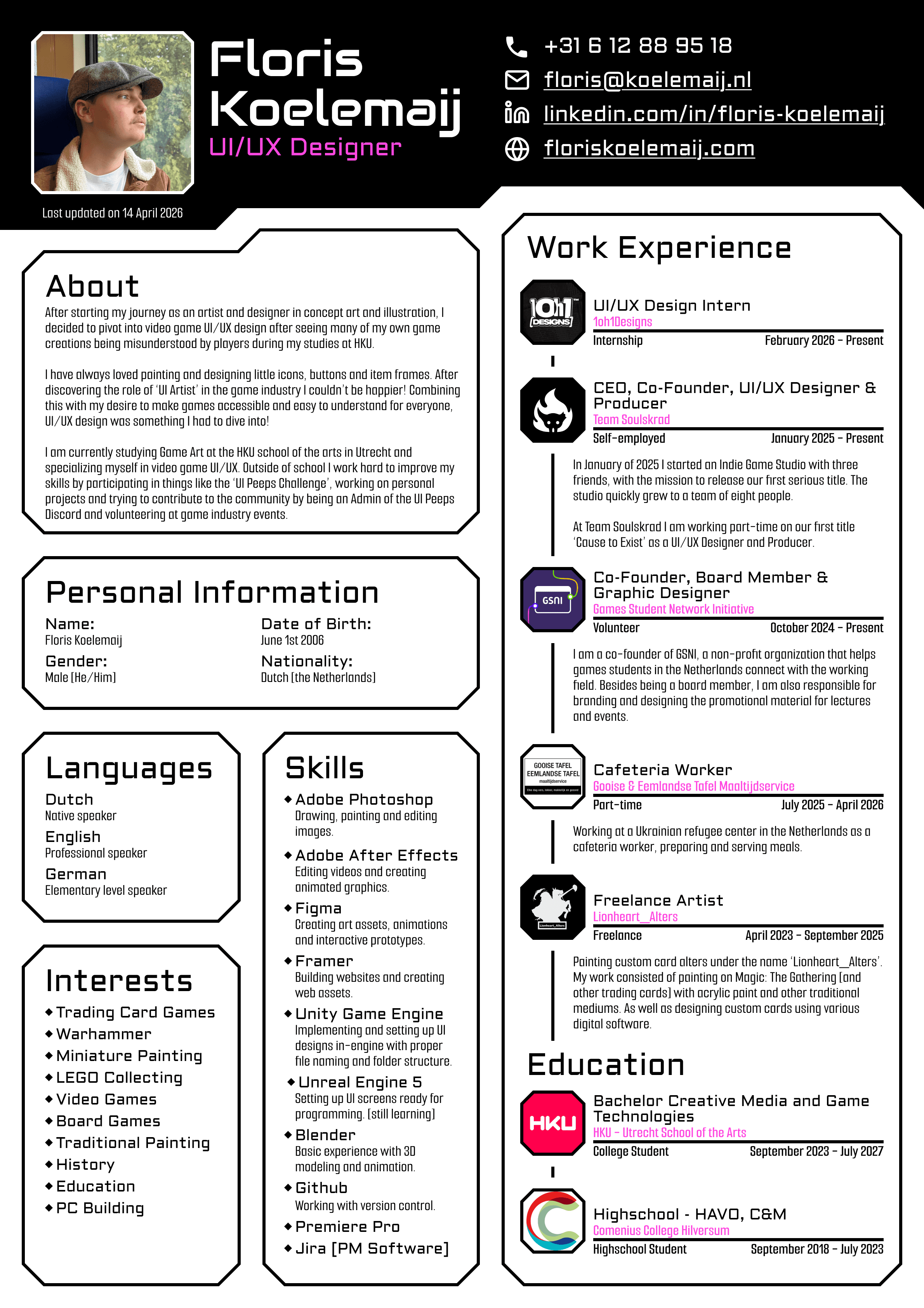 floris koelemaij cv and resume