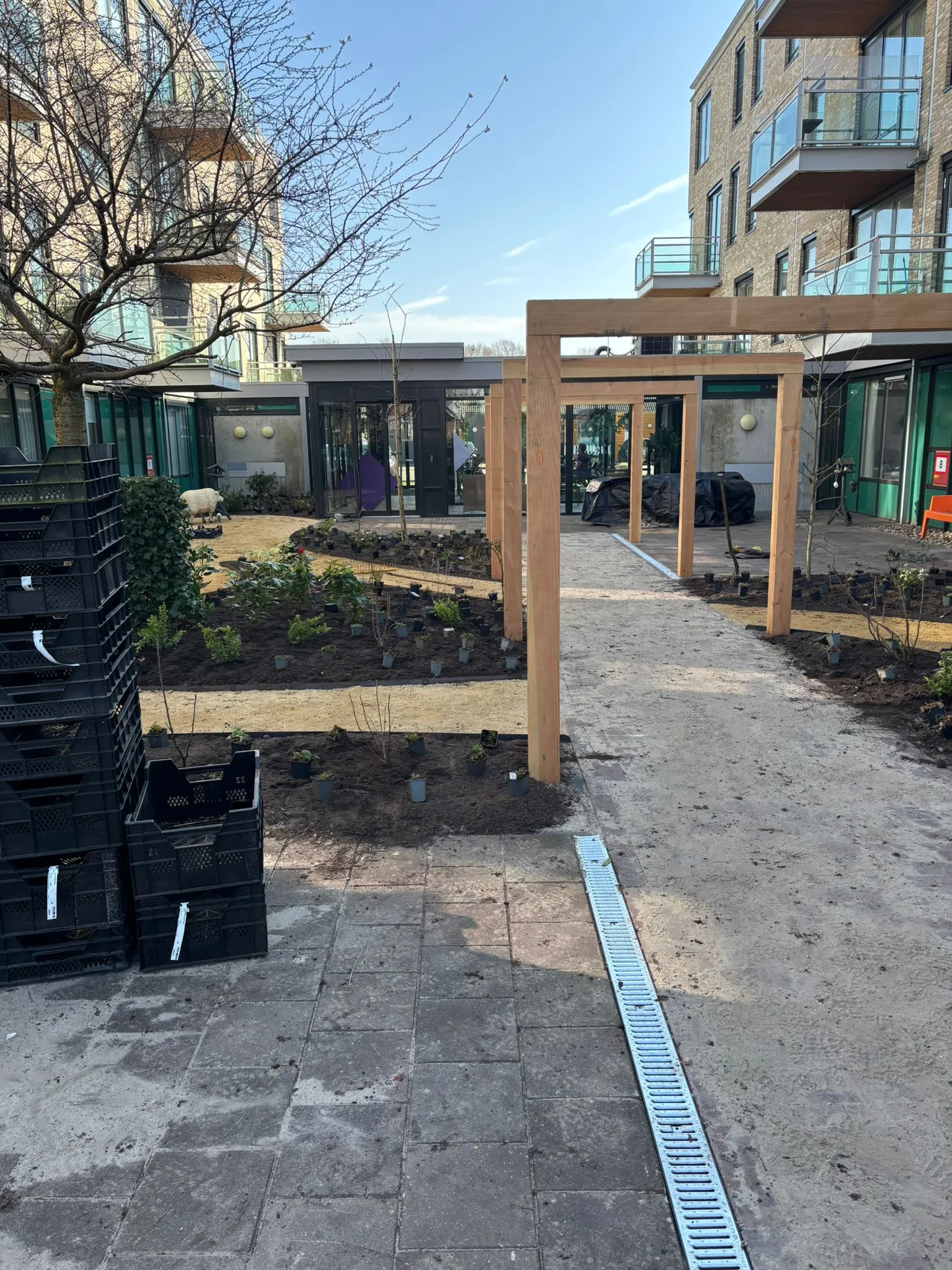 Slingerpad met houten pergola's en nieuw aangeplante borders in belevingstuin bij zorglocatie Voltawerk in Gorredijk.