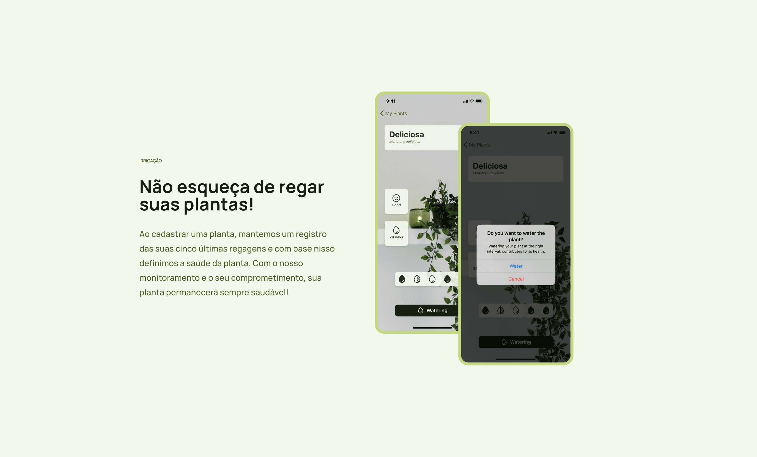 Não se esqueça de regar mais suas plantas!