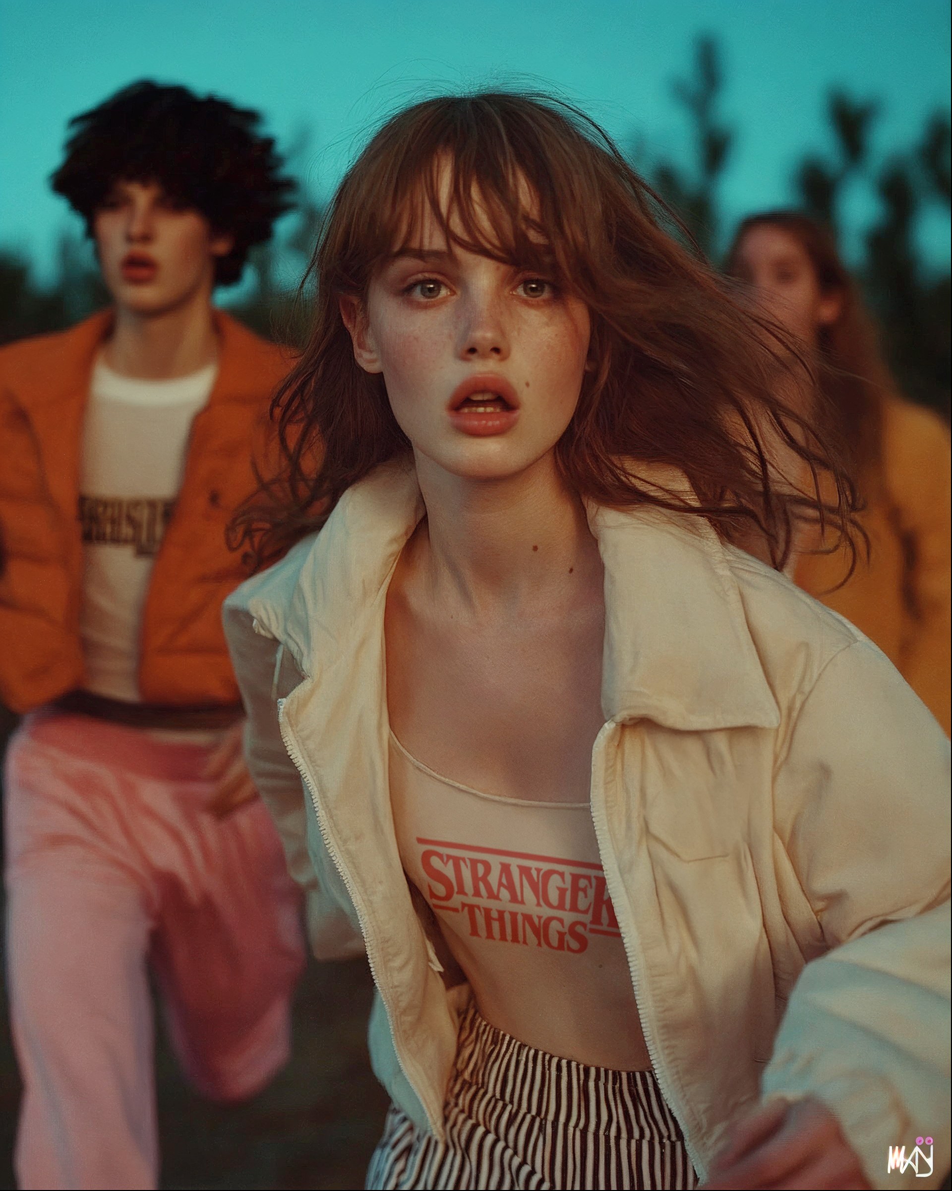 Dom Pérignon vineyards from the sky