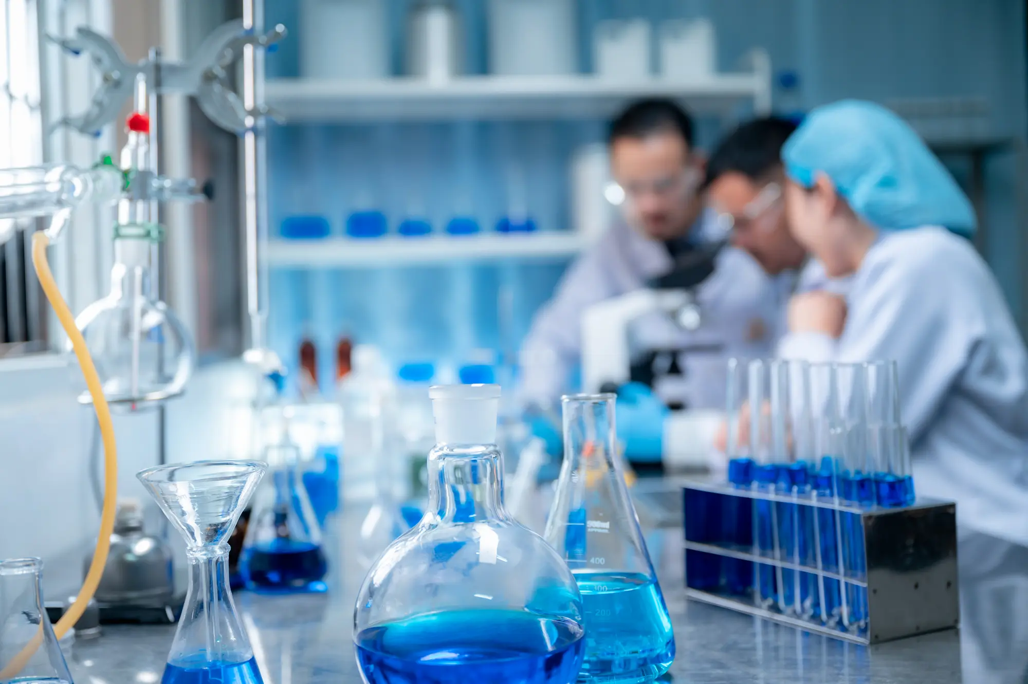 Qué especialidad del máster elegir según tu grado de origen