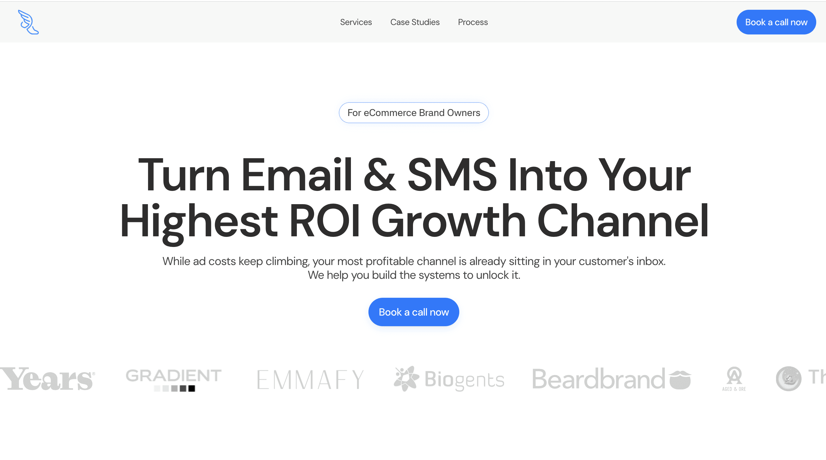 Insendo website preview.