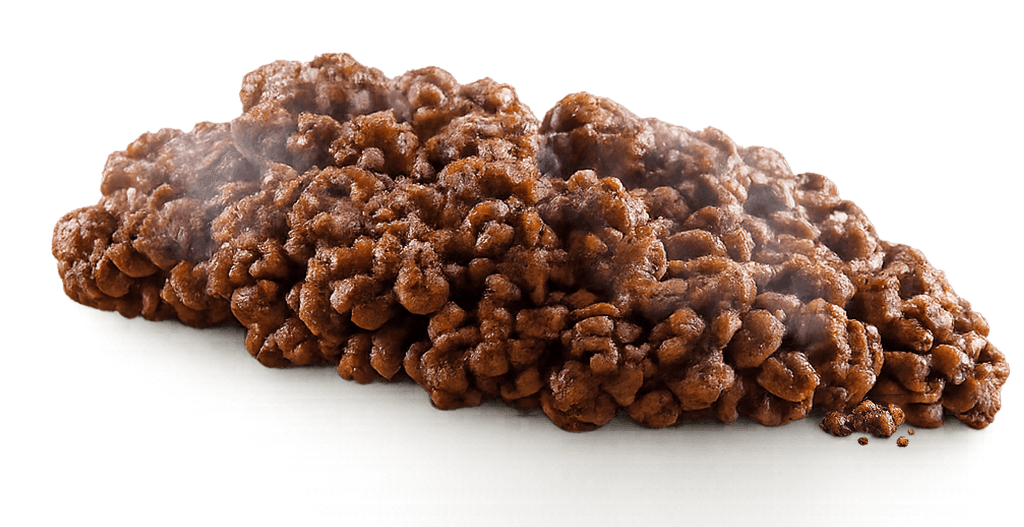 Buger Image