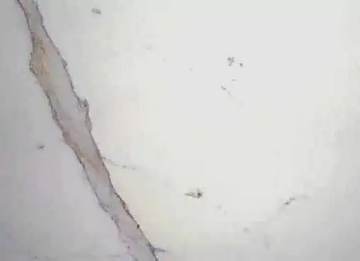 Calacatta marble — natural stone swatch, Mosaiclegs Art Studio