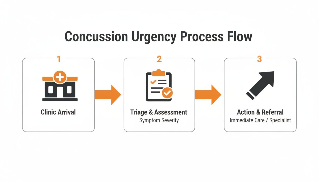 A flowchart illustrating the 3-step concussion urgency process: clinic arrival, triage and assessment, and action and referral.