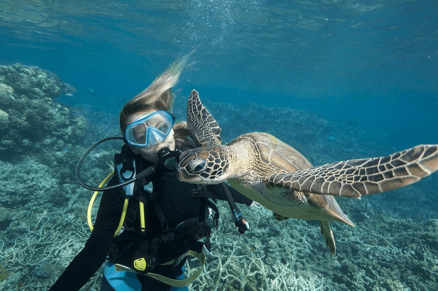 High school student examining marine specimens and ocean data charts for a marine biology research project