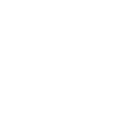 2RIOT client logo 1