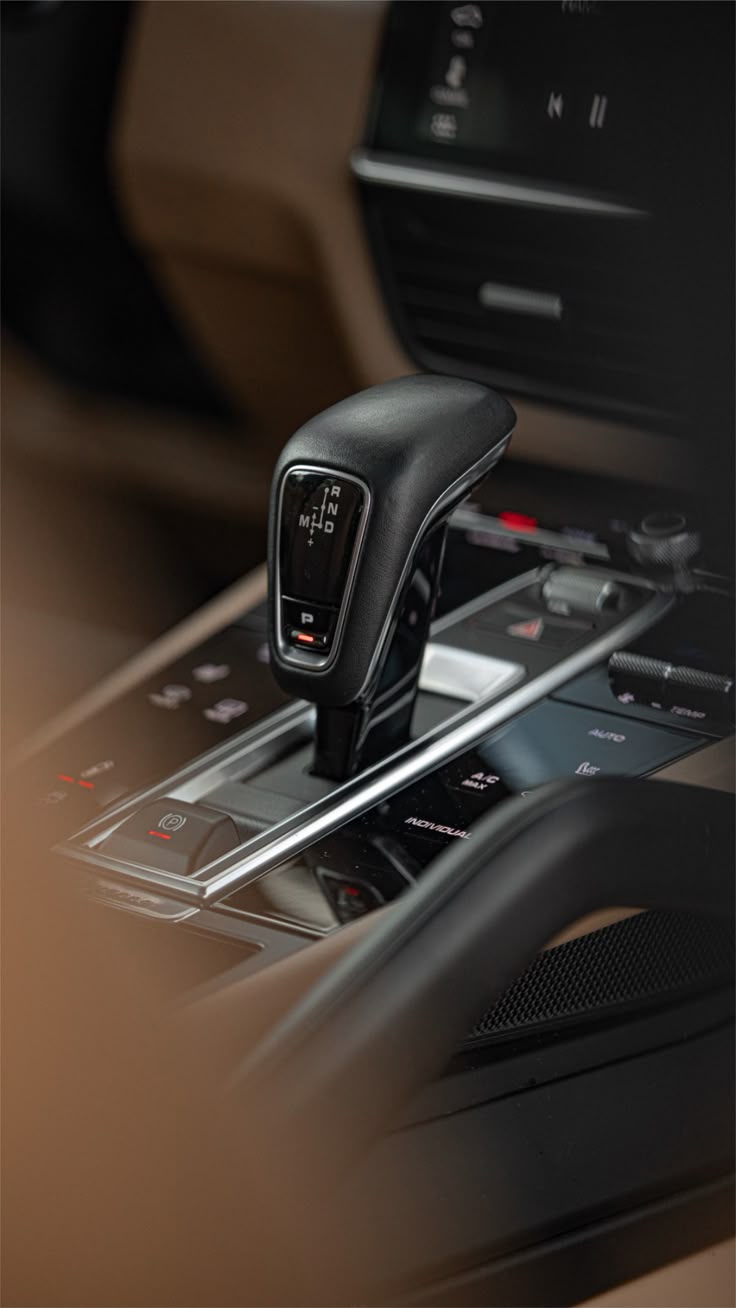 Close-up of a dark green leaf showing its textured surface and central vein against a muted background.