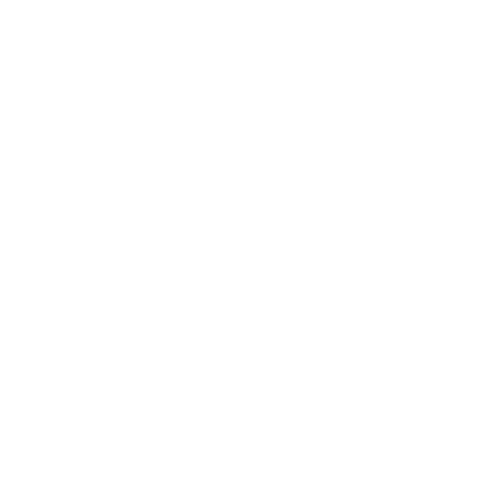 Company Icon