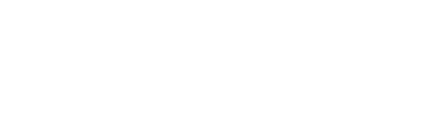 Vero Bags logo