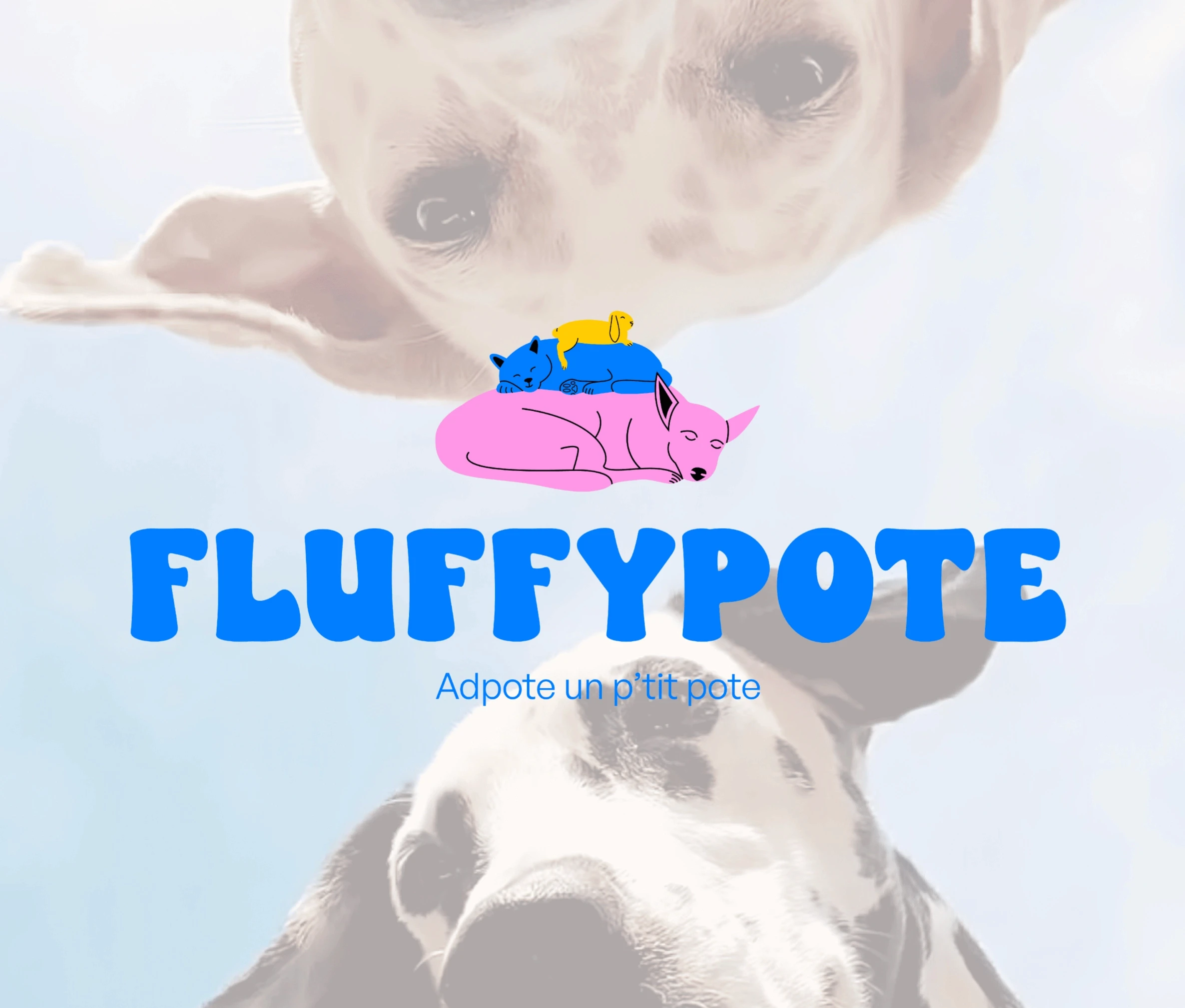 Logo-fluffy-pote