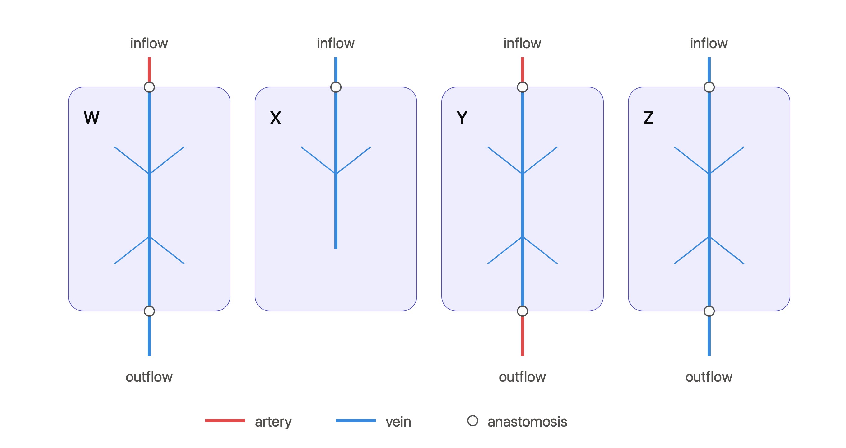 Clinical question image