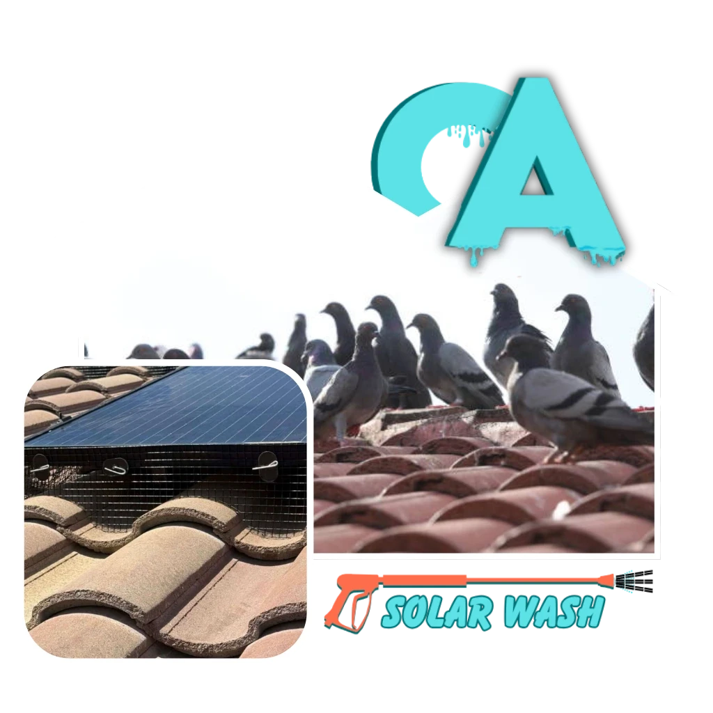 Bird proofing solar panels in Fresno and Clovis CA with CA Solar Wash installing pigeon guards to protect roof and wiringClean rooftop solar panels with pigeon-proof mesh installed around the edges on a Fresno home, showing professional bird proofing that keeps pigeons from nesting under the system