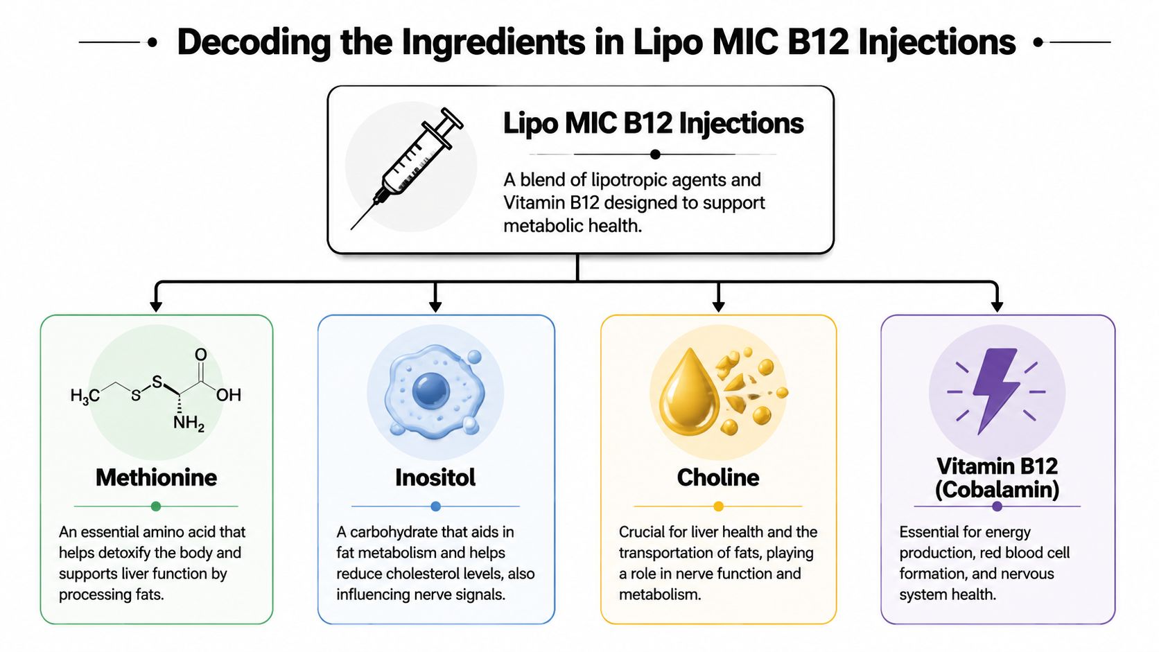 A diagram illustrating the key ingredients in Lipo MIC B12 injections: methionine, inositol, choline, and vitamin B12.