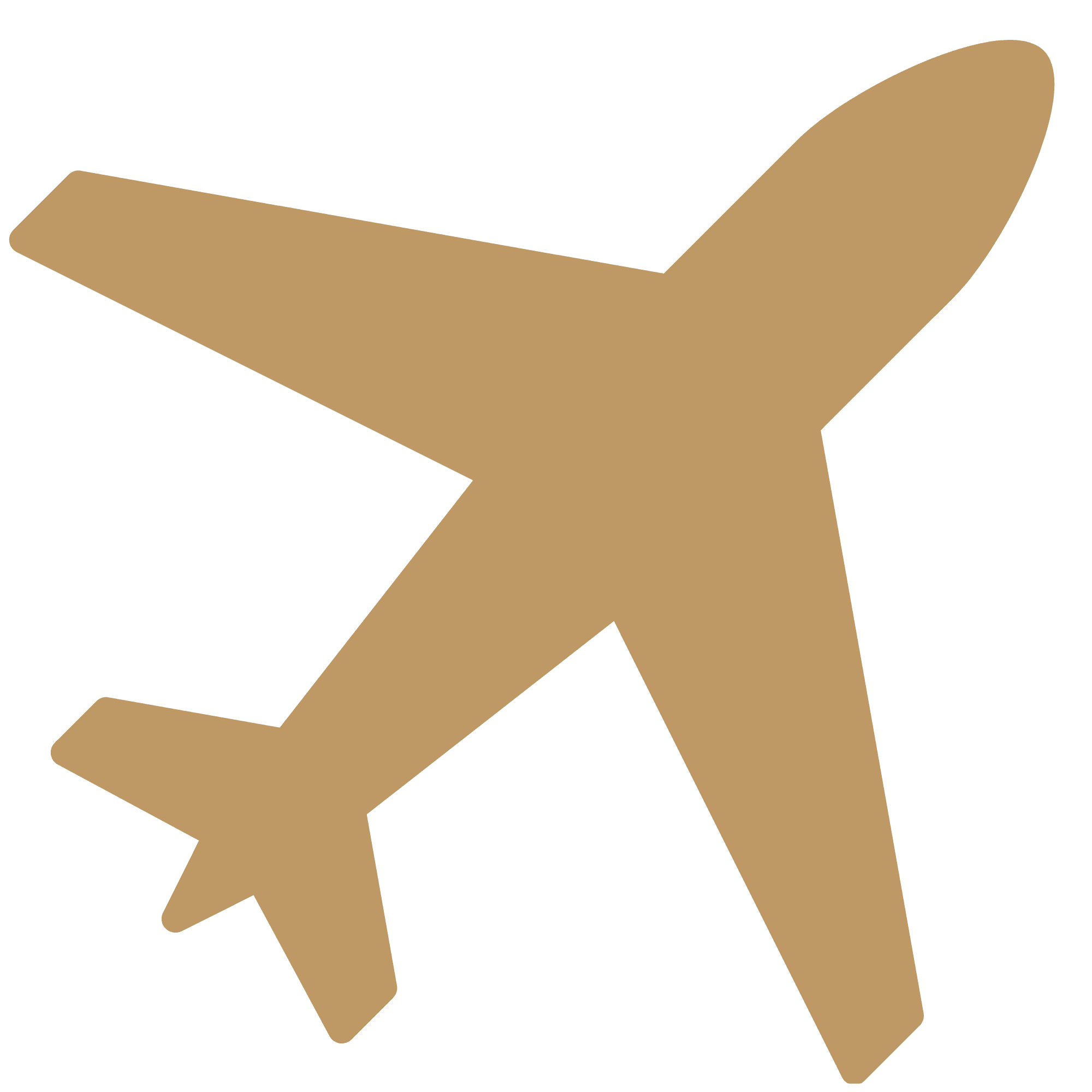 Icon Primary
