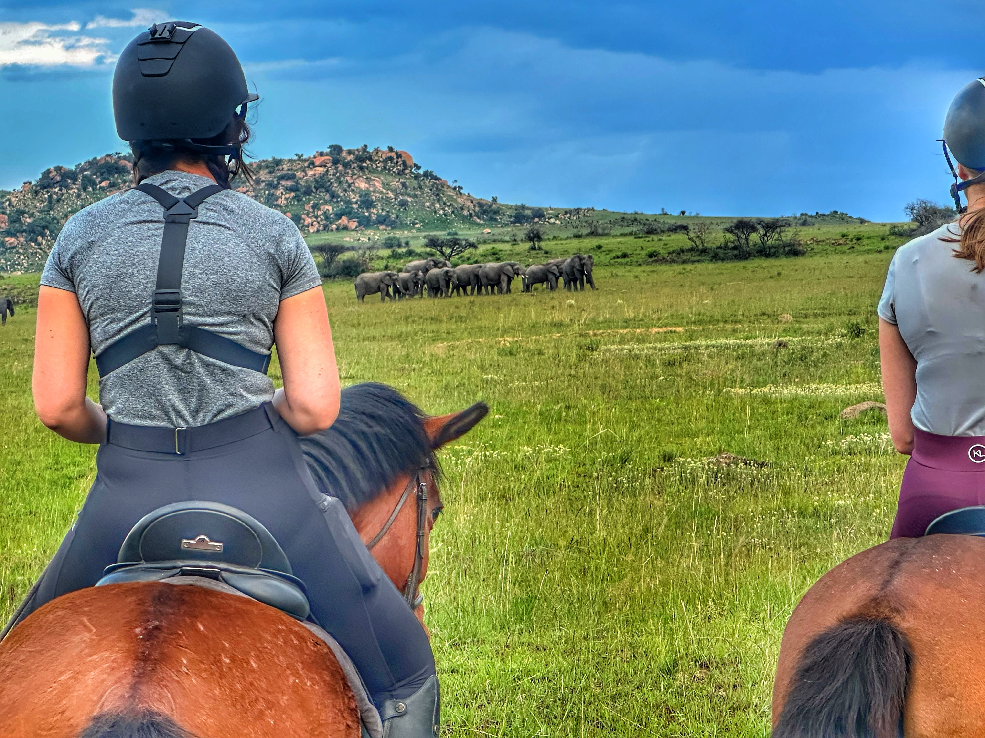 Kilimanjaro Elephant Ride, Arusha National Park, Tanzania – elefant i högt gräs tittar mot kameran, medan fem ryttare till häst på ridsafari i bakgrunden betraktar elefanten i ett grönt och frodigt landskap.