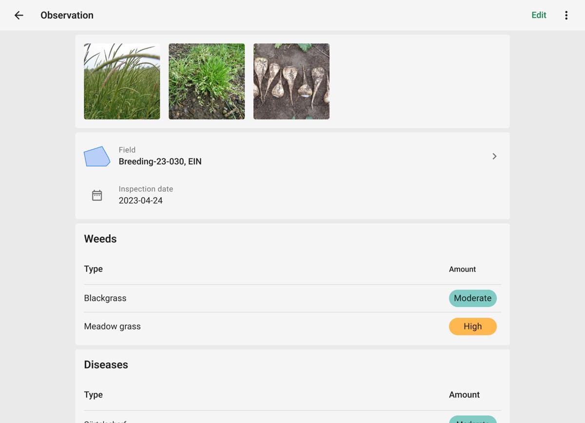 Mockup of the observation detail page of the KWS Field Explorer mobile app on tablet