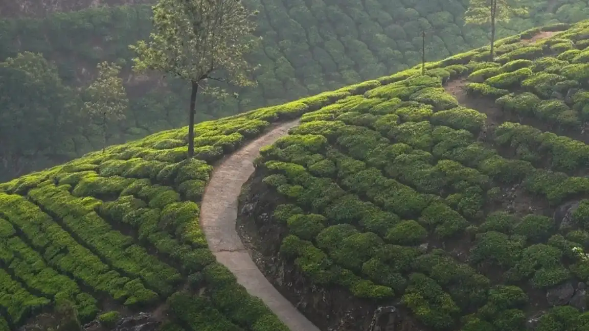 Munnar 