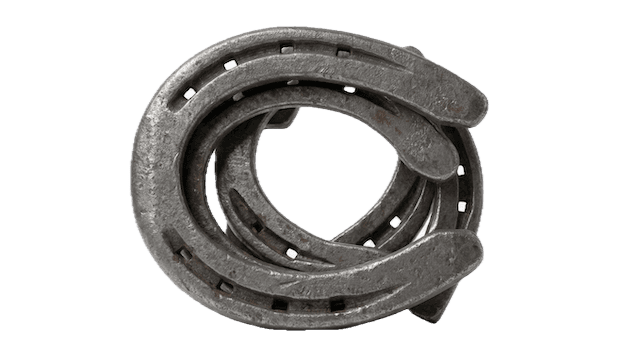 horseshoes