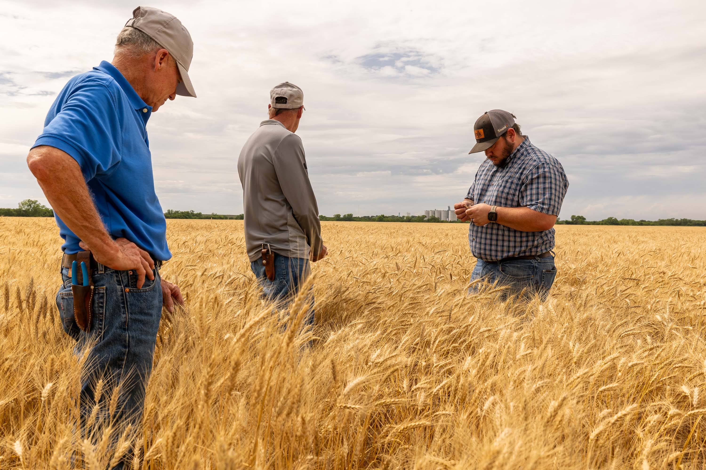 farmers in wheat field photographer