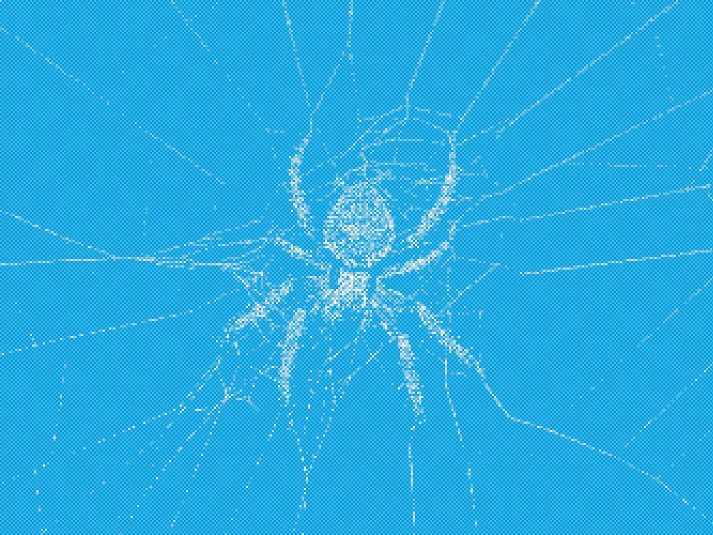 grayscale photography of spider