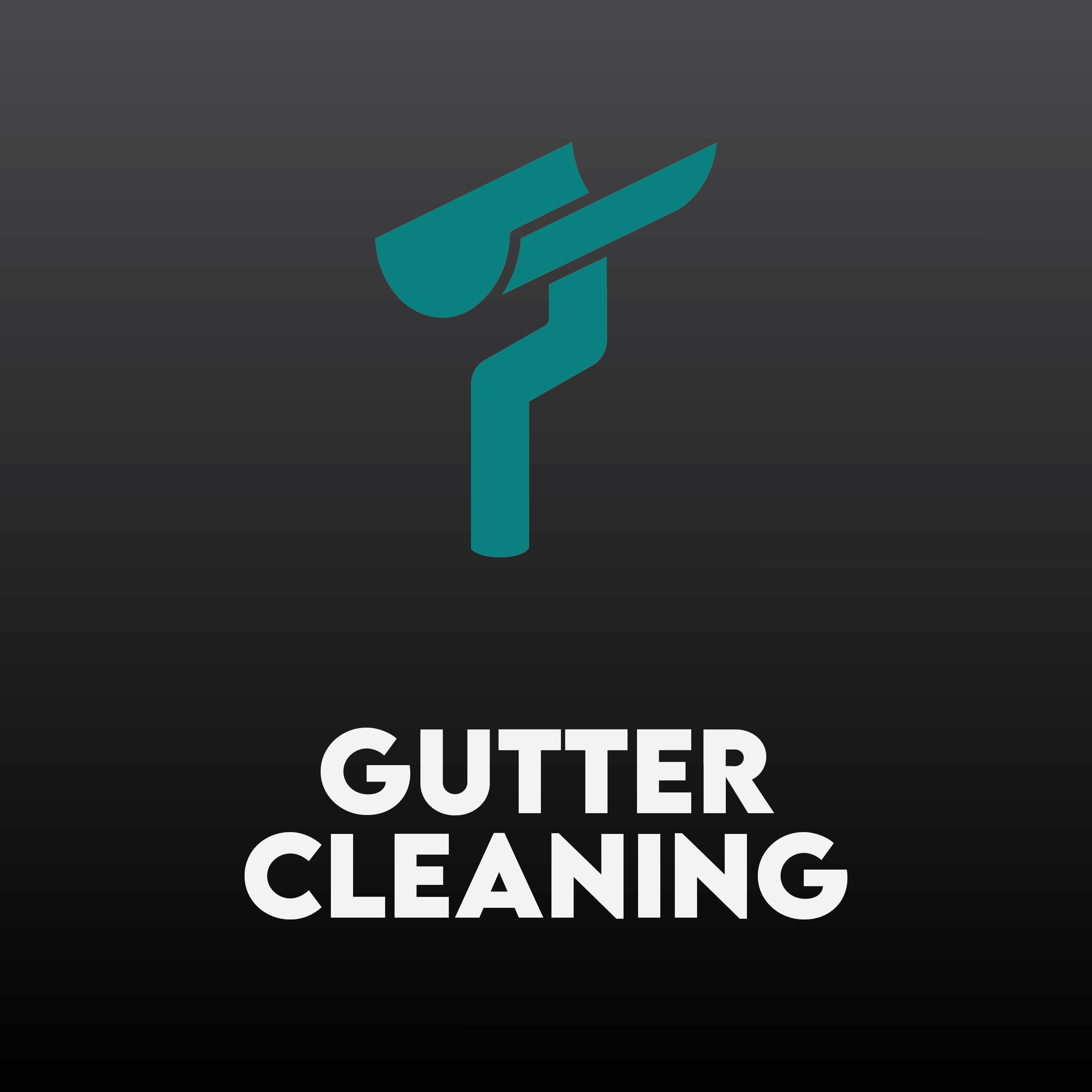 Gutter Cleaning