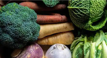 A vibrant assortment of vegetables, including broccoli, sweet potatoes, leafy cabbage, parsnips, and turnips, showcasing rich colors and diverse textures.