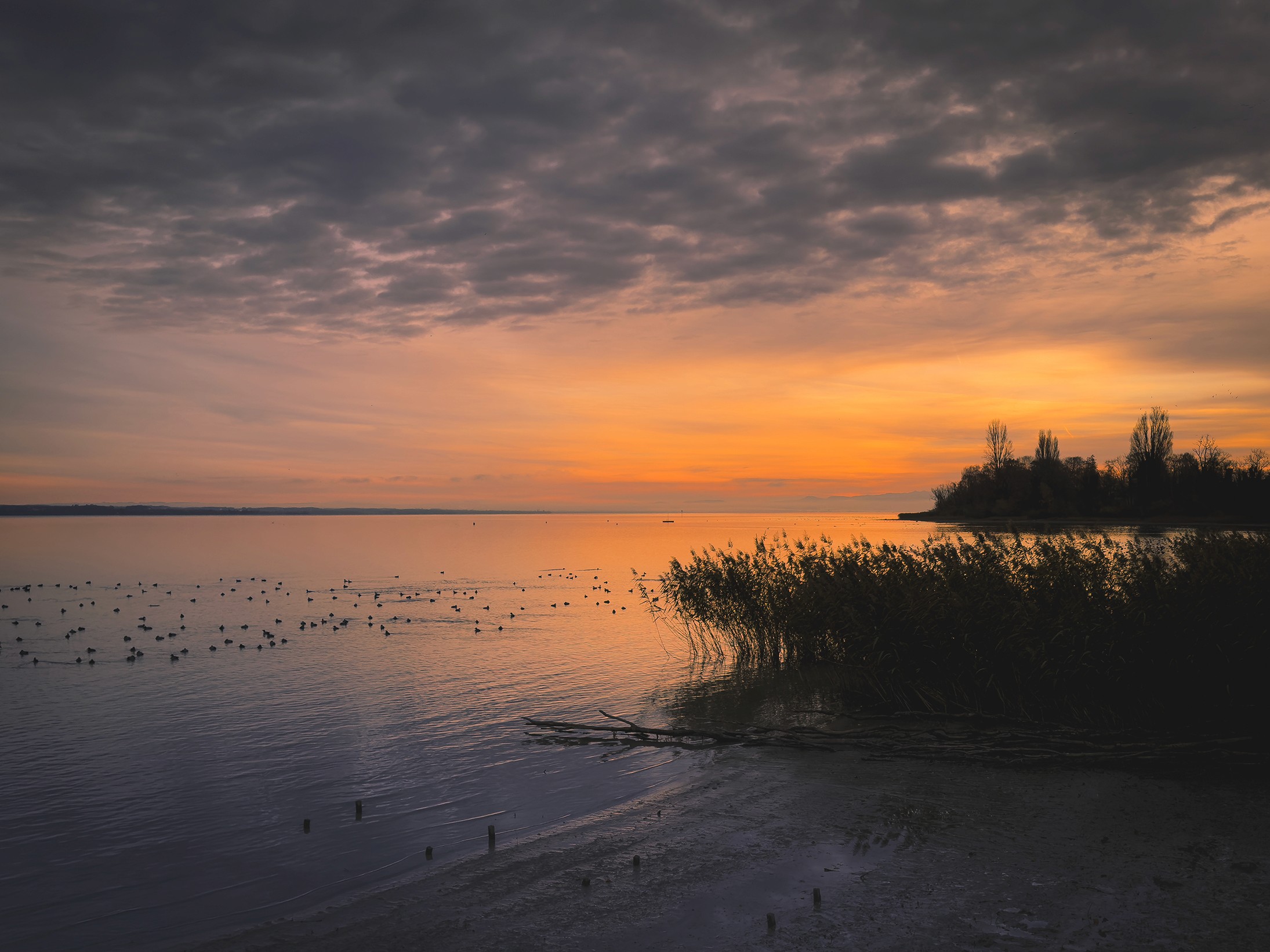 first light bodensee