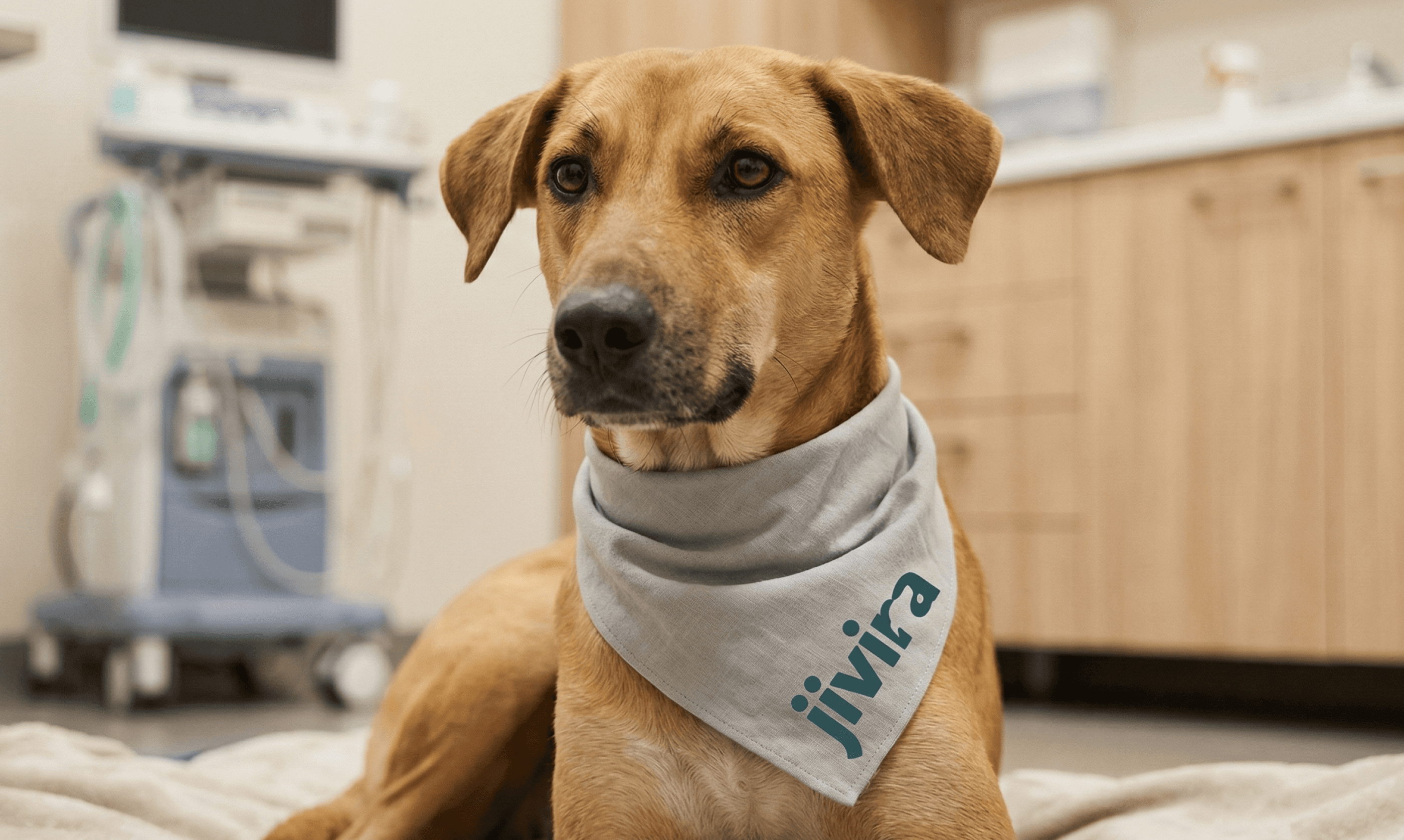 Woman wears a blue coat in a blue environment.