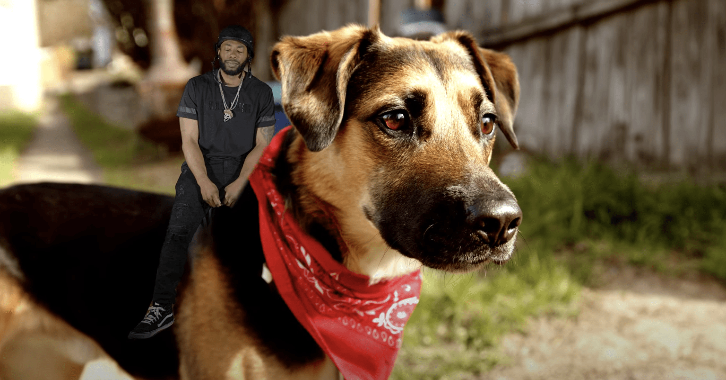 Cute dog and famous rapper Cice in music video about dogs, mockumentary scene never enough show NeverEnoughShow.com minimocks mockumentary comedy