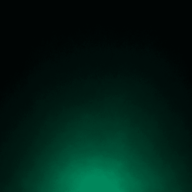 Footer-Image