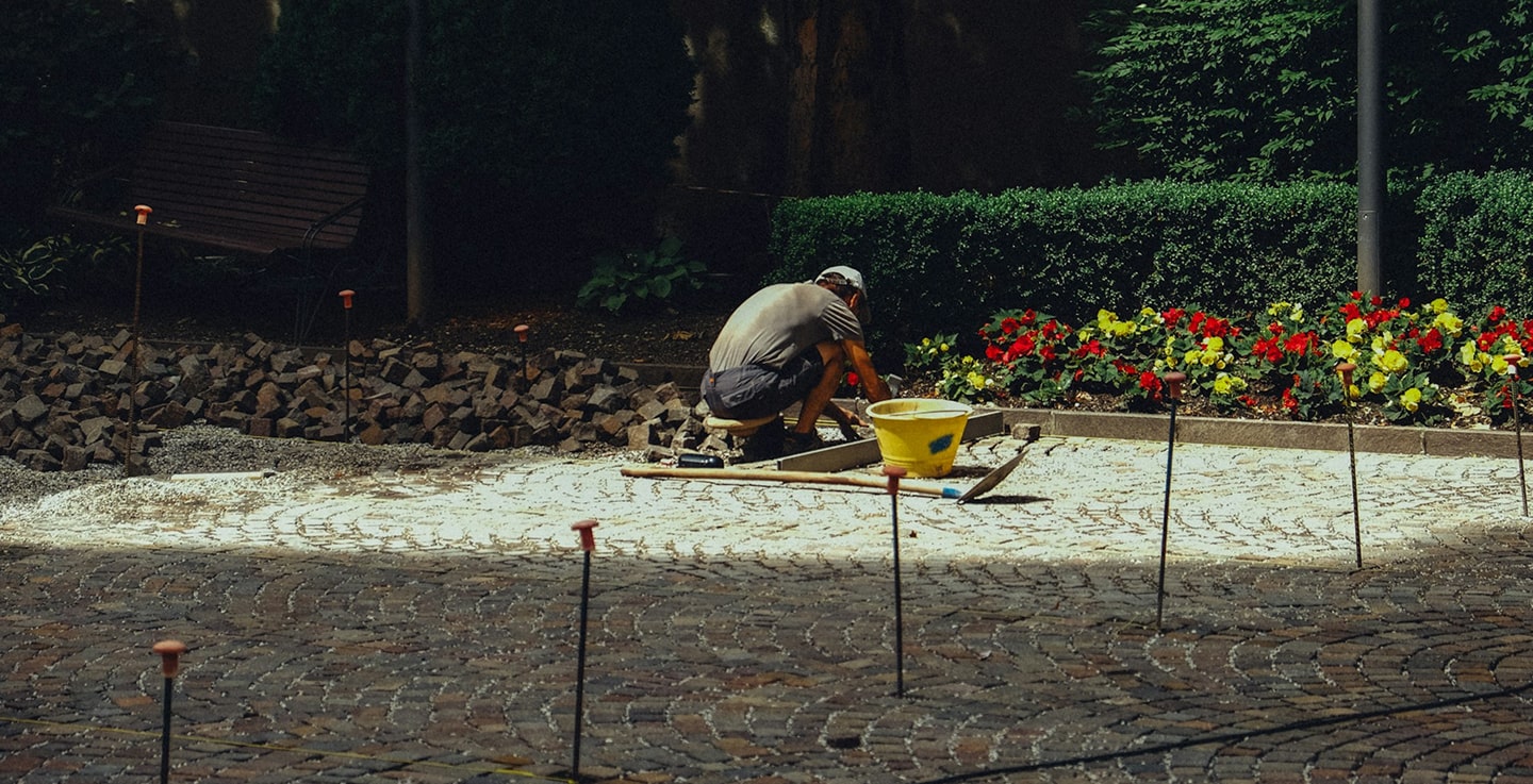 Modern landscaped garden showcasing professional outdoor design.