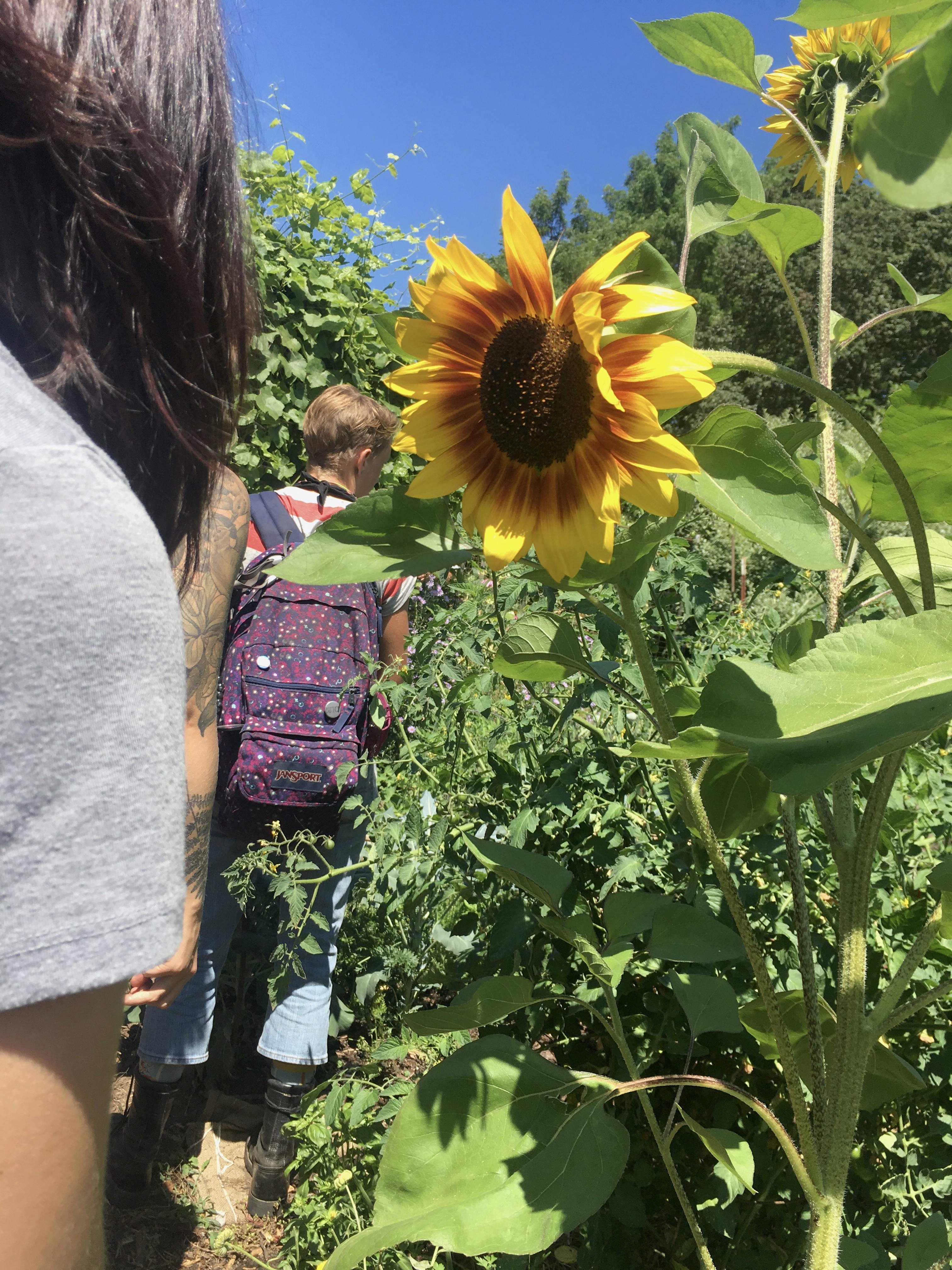 Eco Village Studies