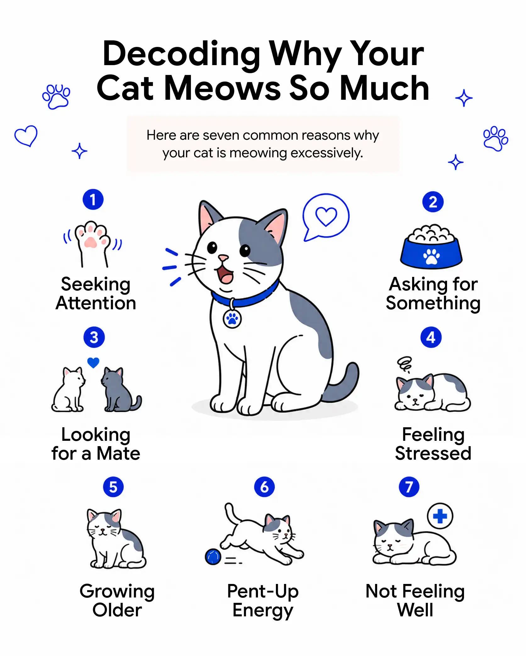 An infographic showing the common reasons why your cat is meowing so much, including asking for something, feeling stressed, and not feeling well.