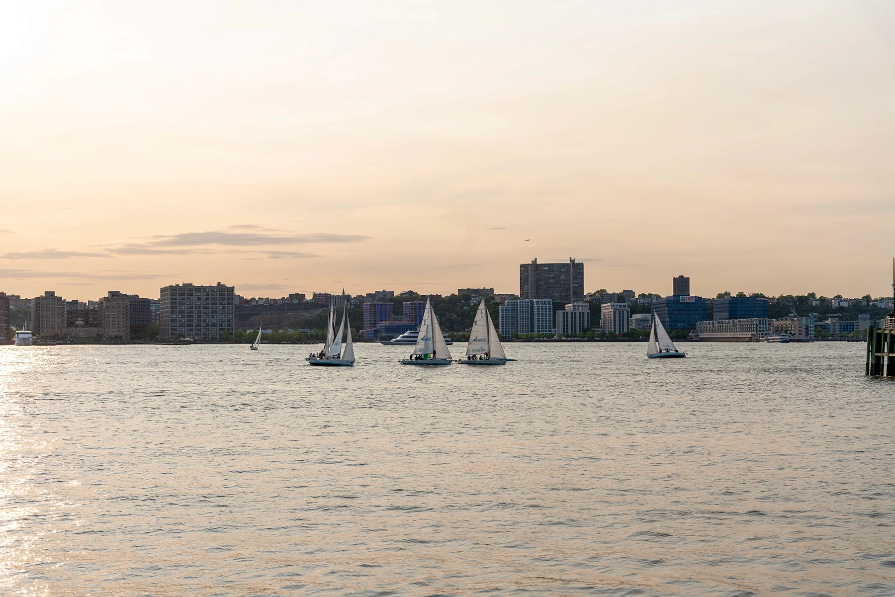 Foodpairing with chef Aljmo and Dom Pérignon P2