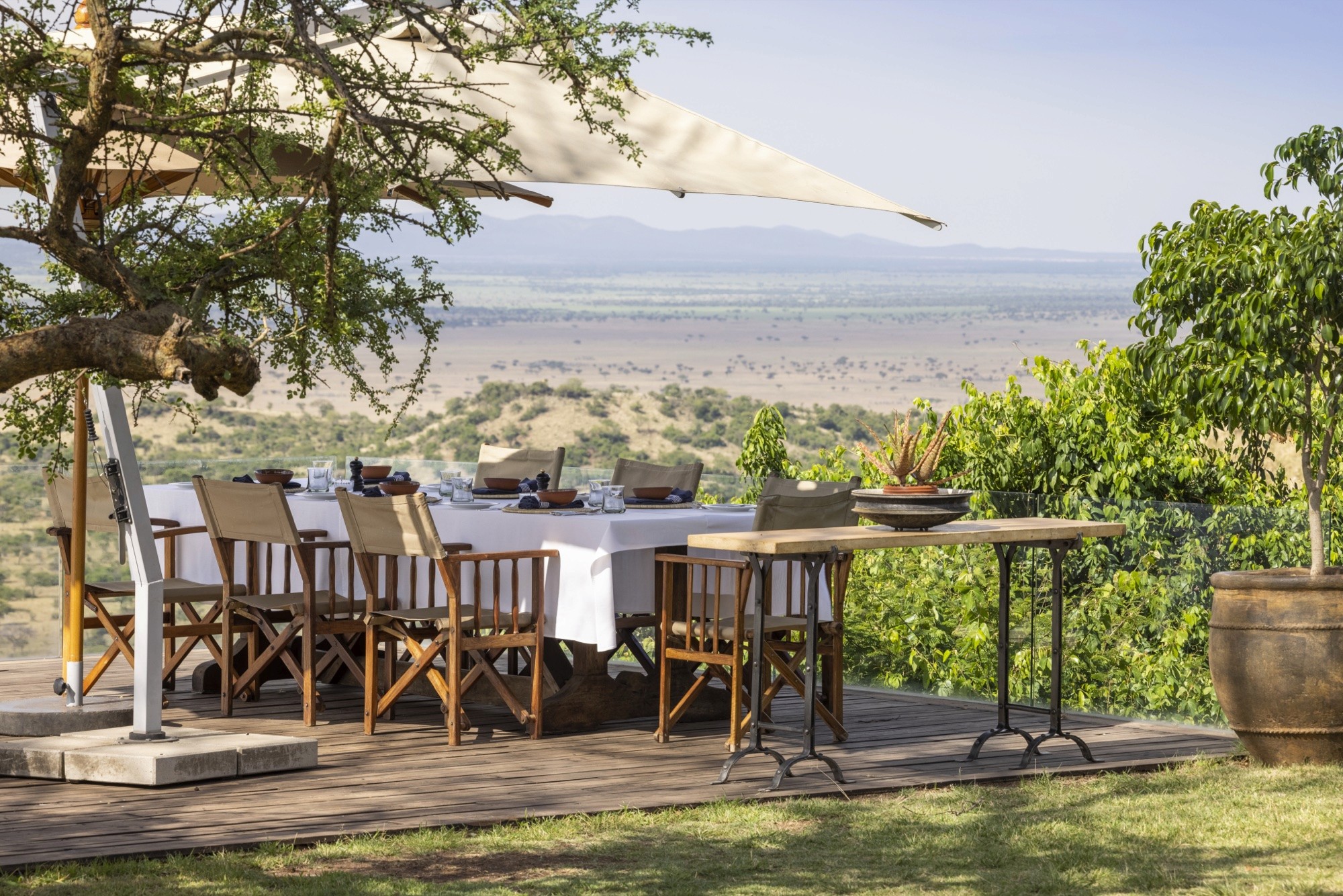 A long lunch table set beneath a shade tree, the Serengeti stretching below